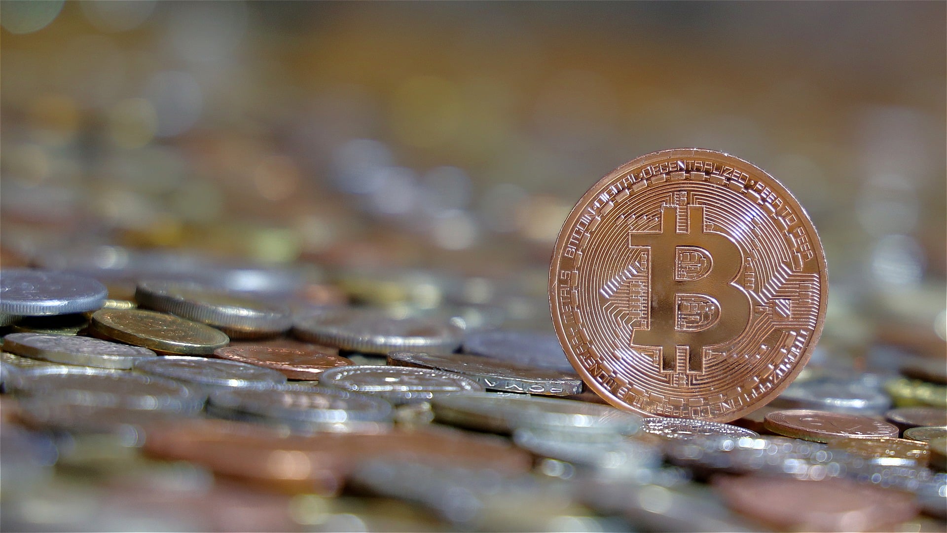 The Author of the Bitcoin Bestseller Guide Claims that a Market Comeback for Bitcoin is Inevitable